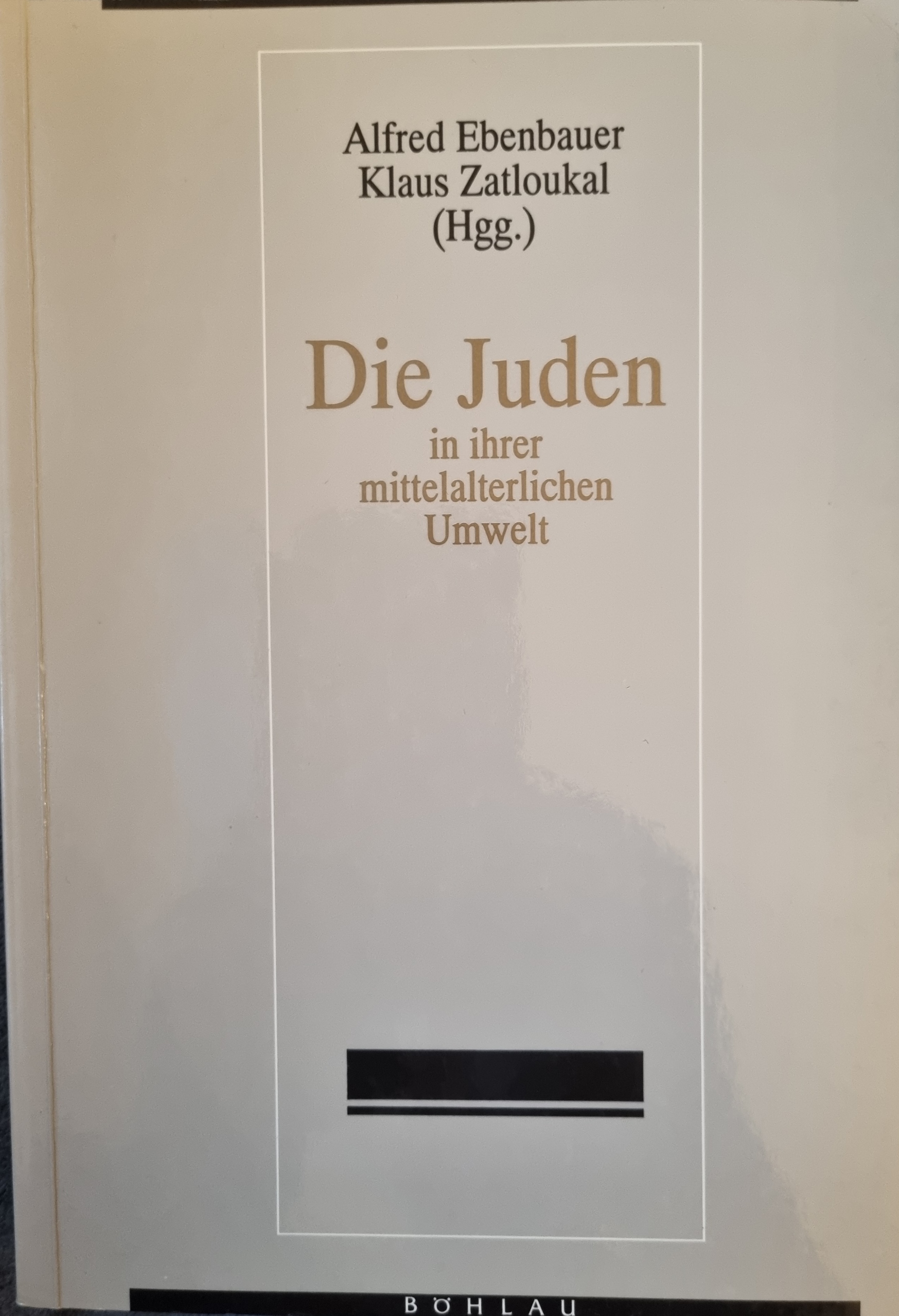 Die Juden in ihrer mittelalterlichen Umwelt.jpg