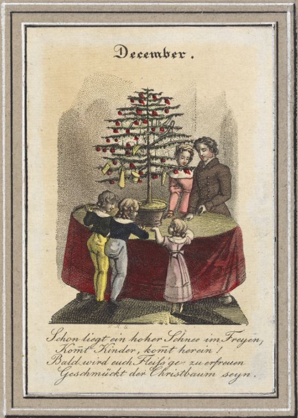 Weihnachtsbaum wien.jpg